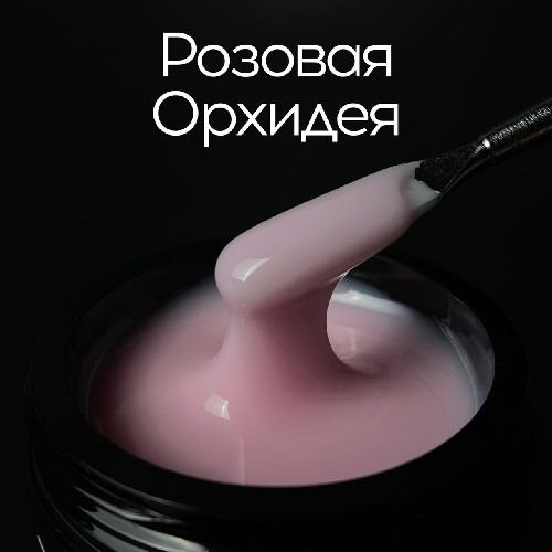 розовая орхидея