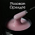 розовая орхидея